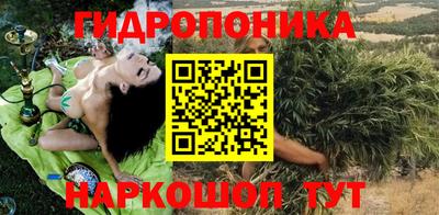 шишки Краснокаменск
