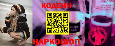 прущие грибы Краснодар