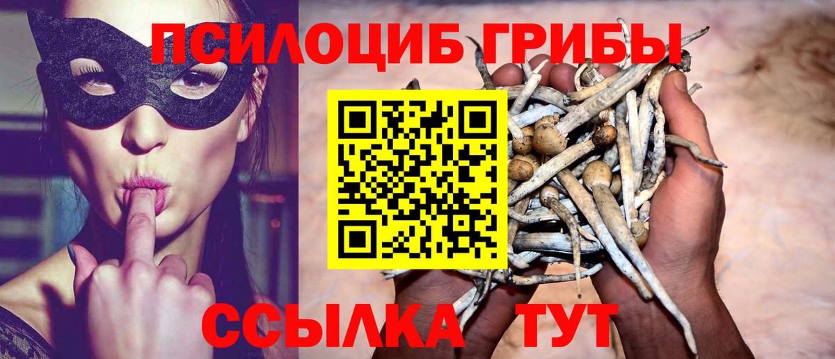 Тверь  Псилоцибиновые грибы Psilocybe  Вход с VPN  Галлюциногенные грибы Psilocybe 