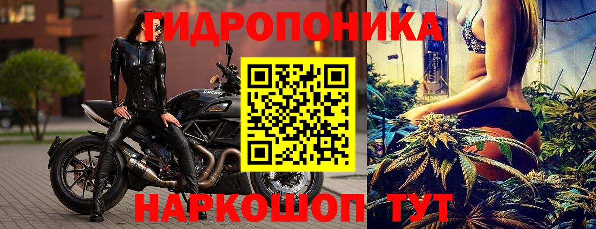 Шишки марихуана гибрид Тверь